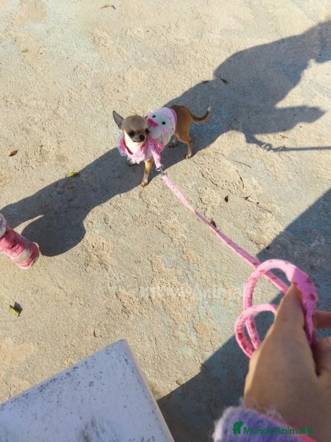 Imagen de galería {{count}}