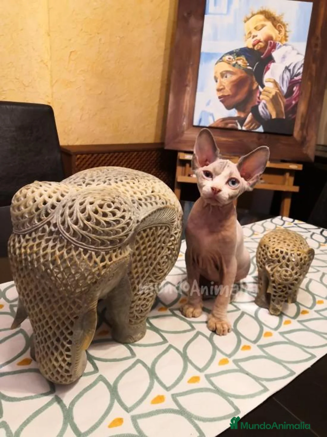 Imagen de galería {{count}}