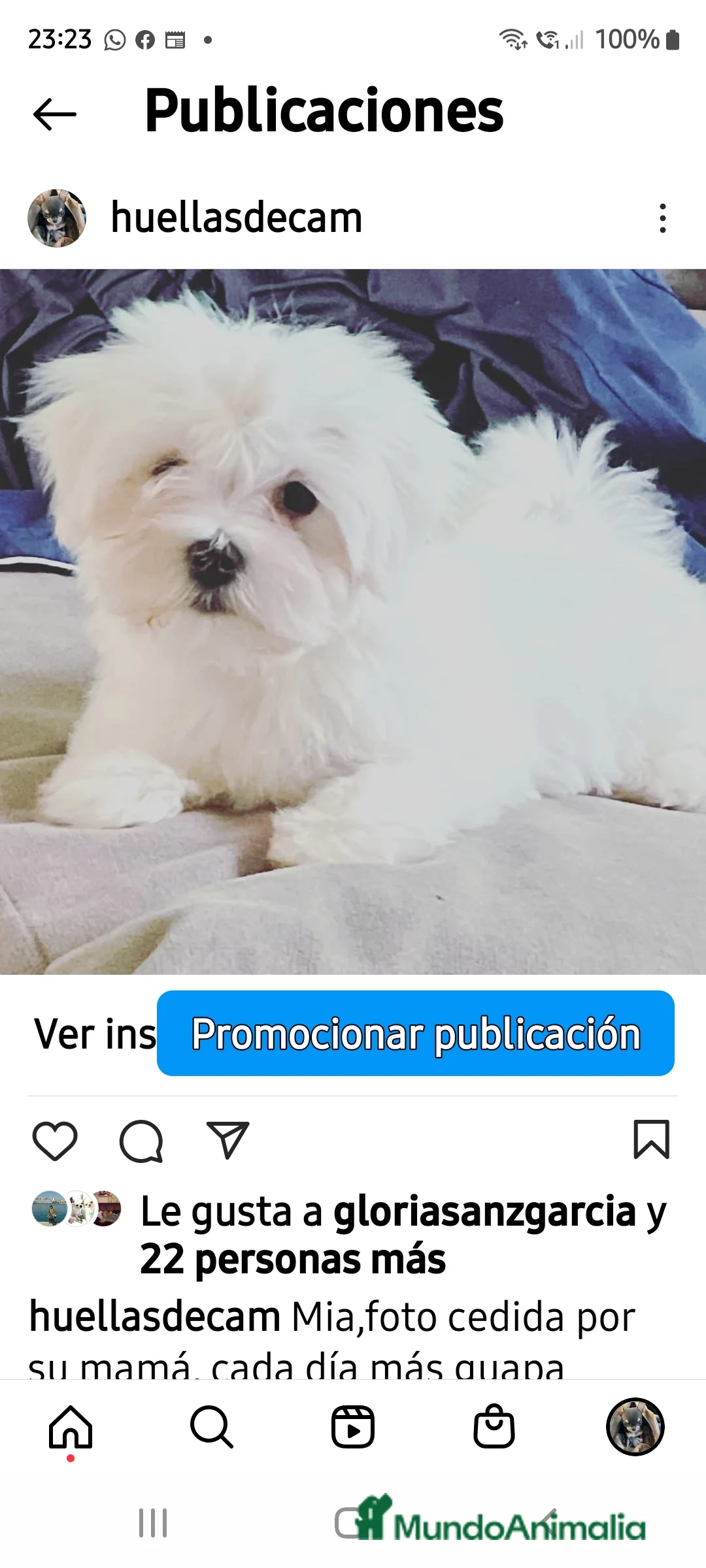 Imagen de galería {{count}}