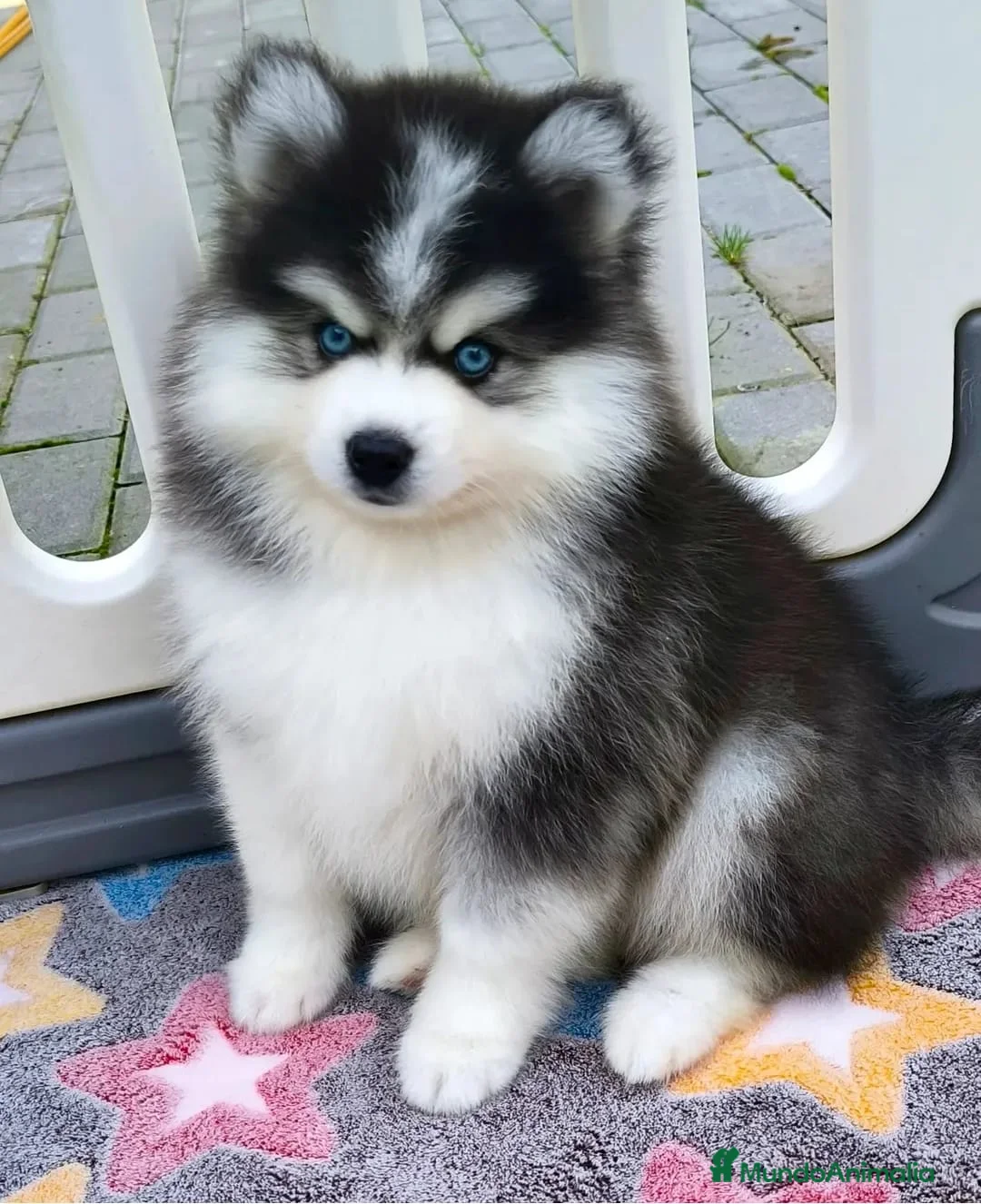 Imagen de galería {{count}}