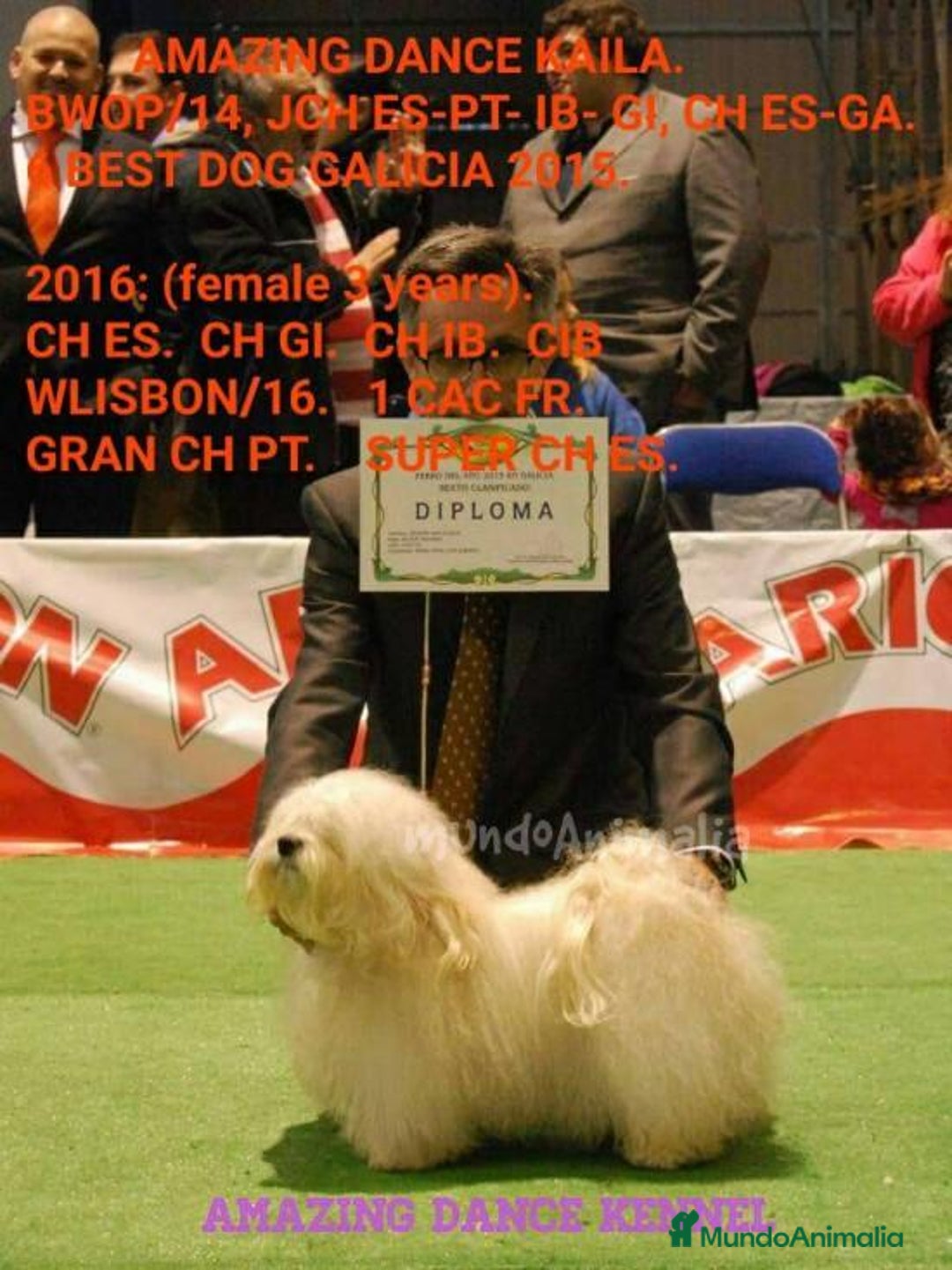 Imagen de galería {{count}}