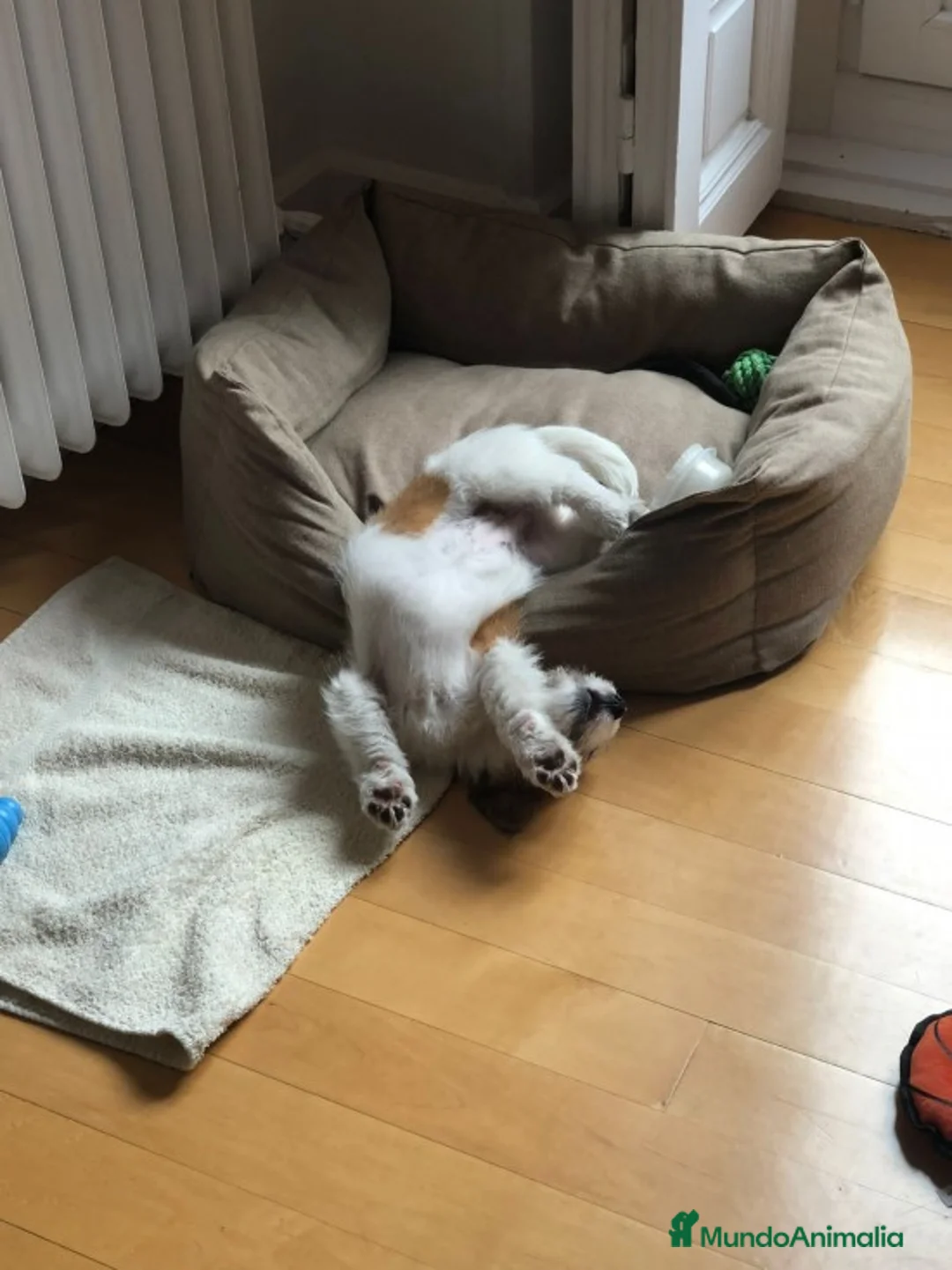 Imagen de galería {{count}}