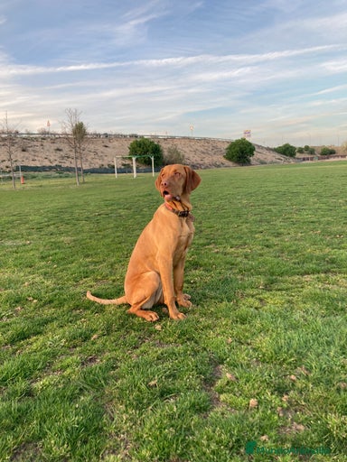 Imagen de galería {{count}}