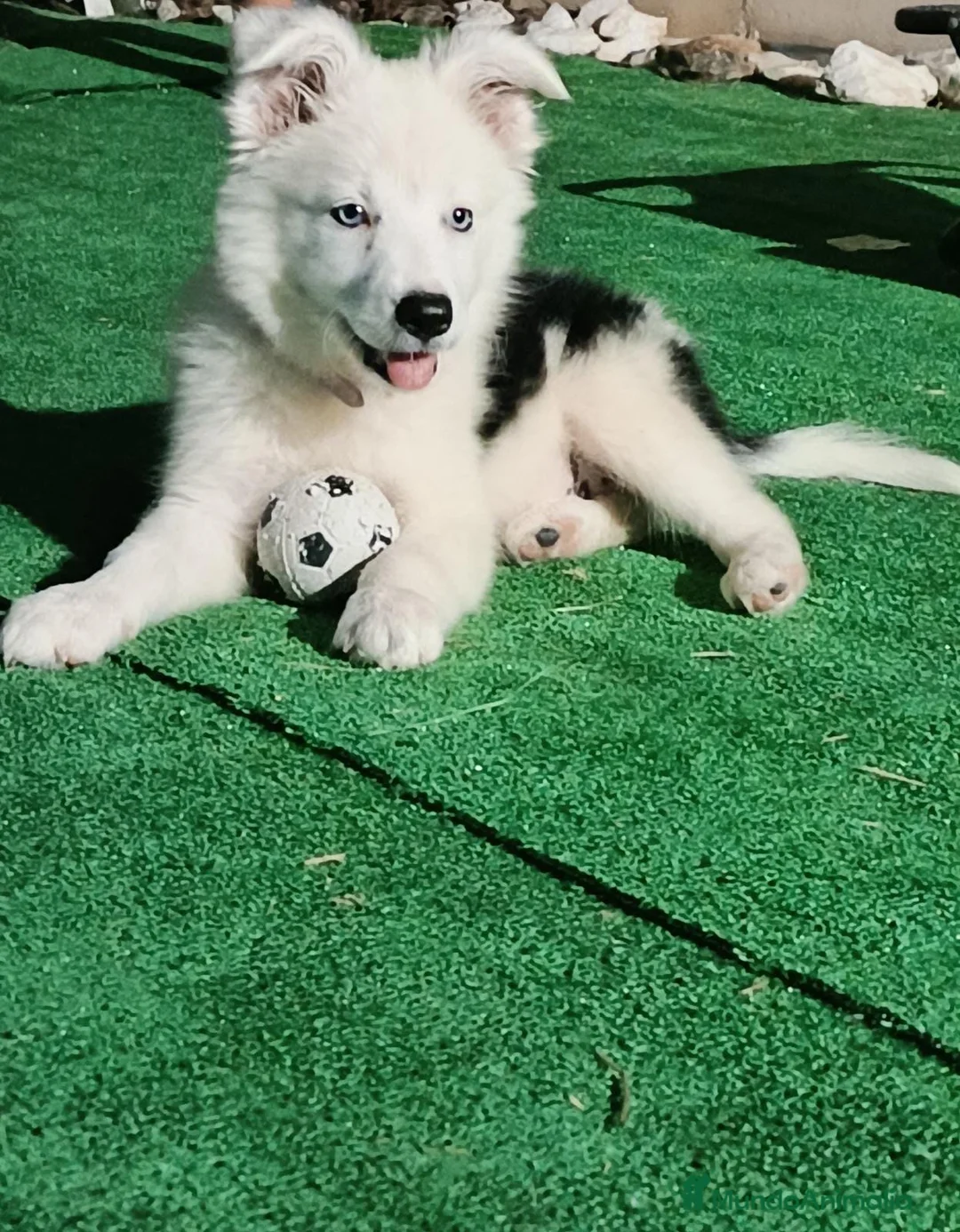 Imagen de galería {{count}}