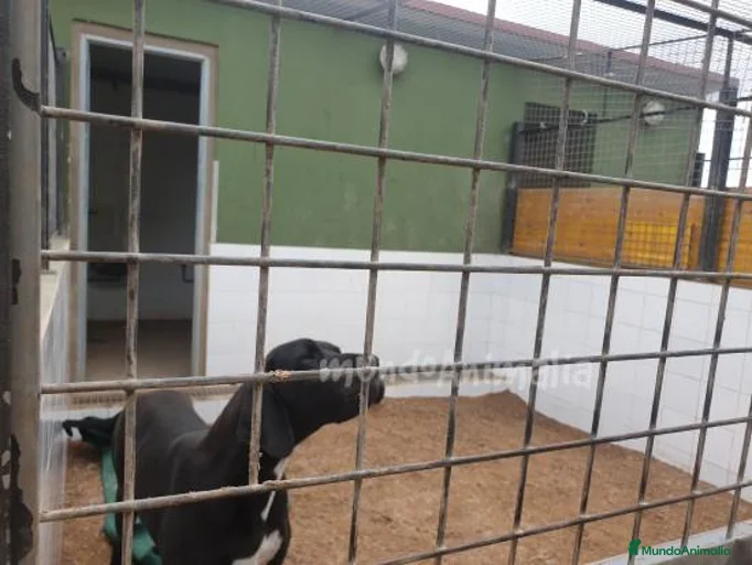 Imagen de galería {{count}}