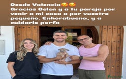 American Staffordshire-Terrier perros en venta: American Stanford, mis pequeños - Imagen 8