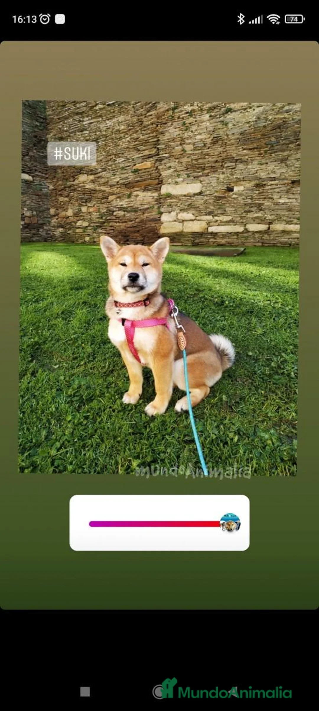 Imagen de galería {{count}}