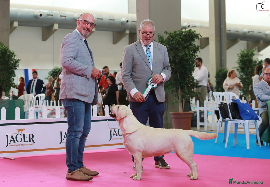 Imagen de galería {{count}}