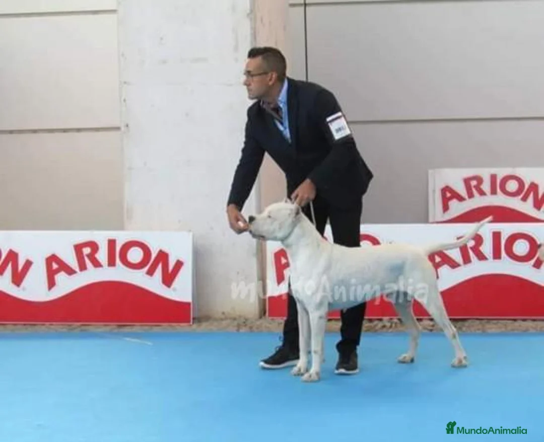 Imagen de galería {{count}}