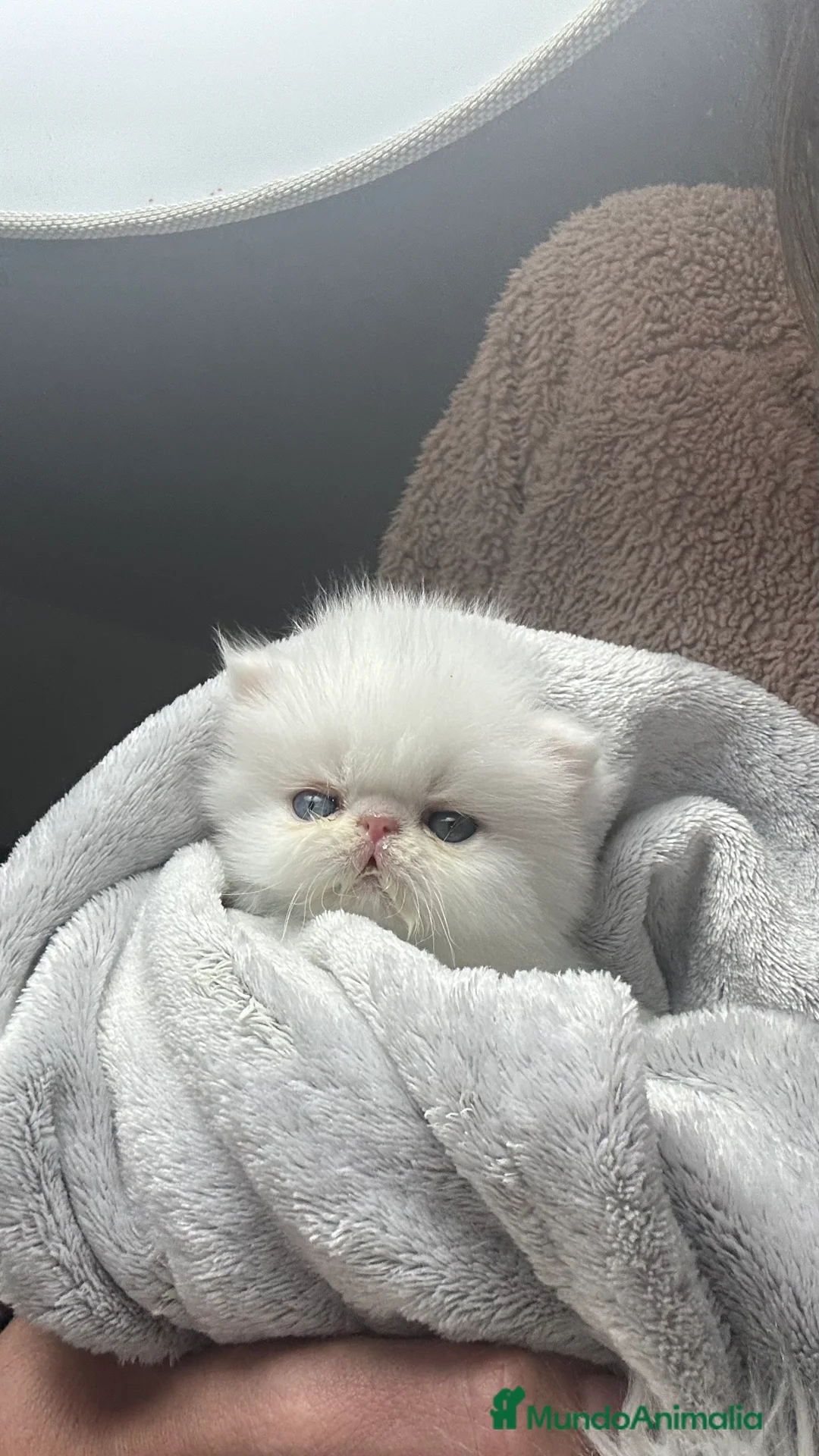 Imagen de galería {{count}}