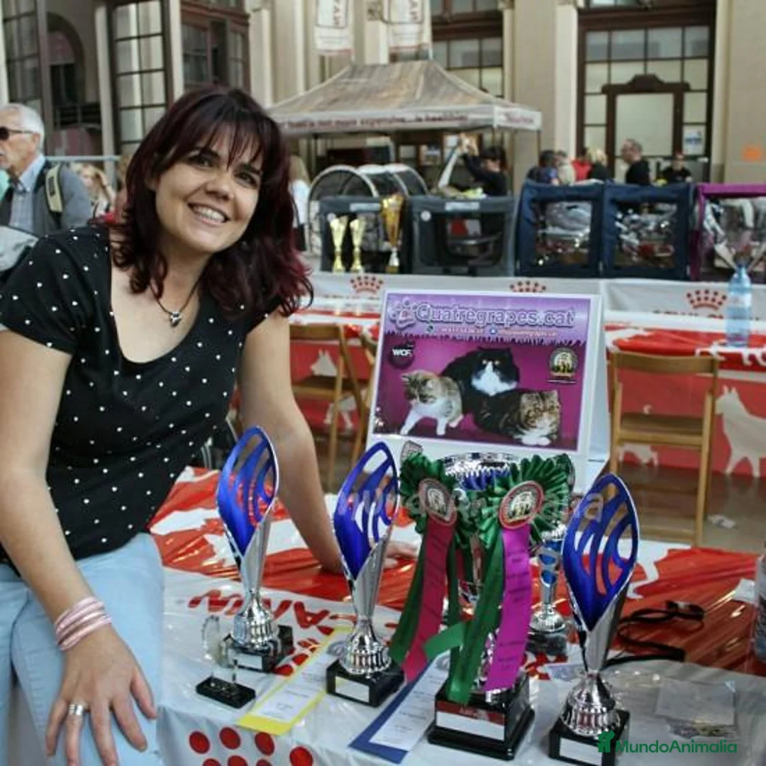 Imagen de galería {{count}}