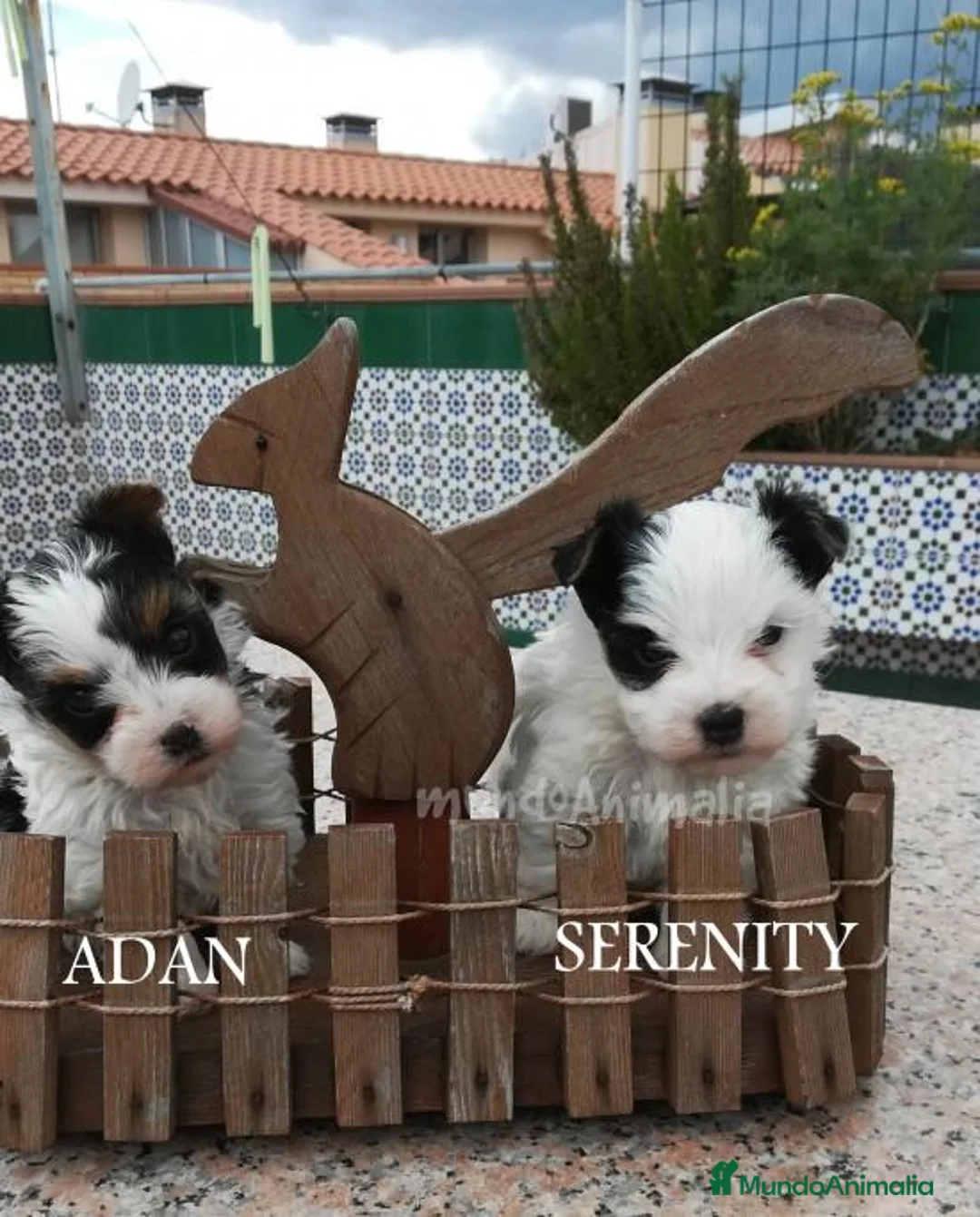 Imagen de galería {{count}}