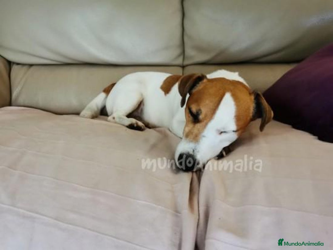 Imagen de galería {{count}}