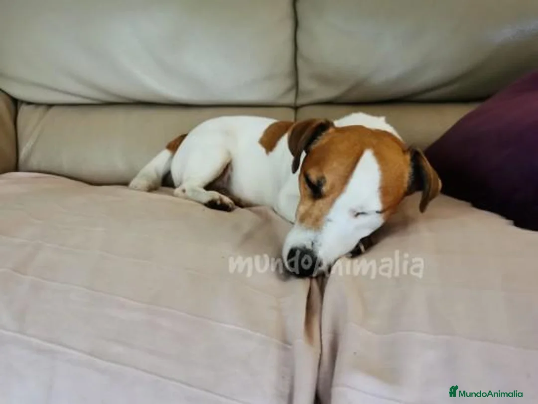 Imagen de galería {{count}}