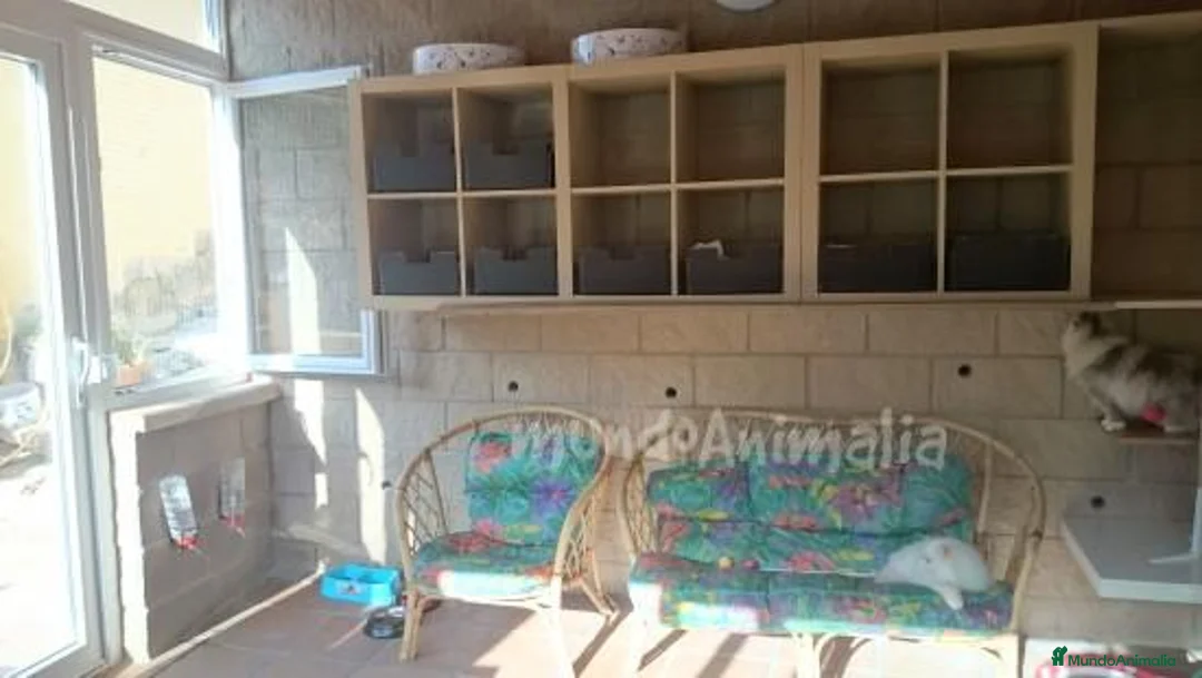 Imagen de galería {{count}}