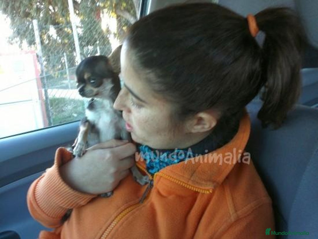 Imagen de galería {{count}}