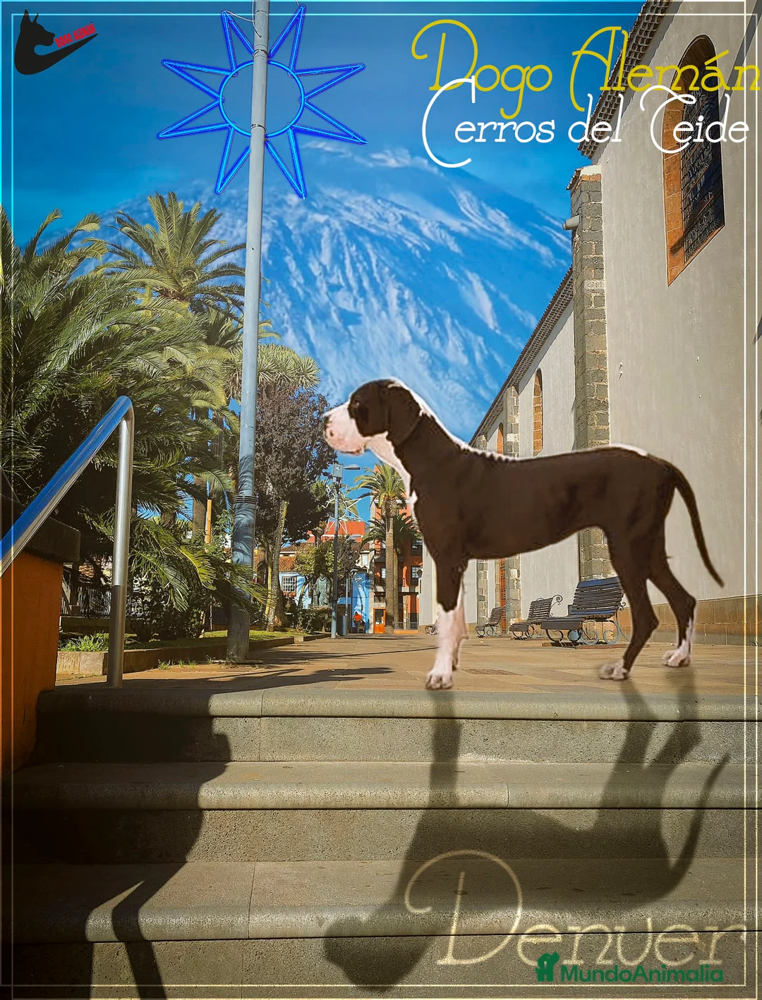 Imagen de galería {{count}}