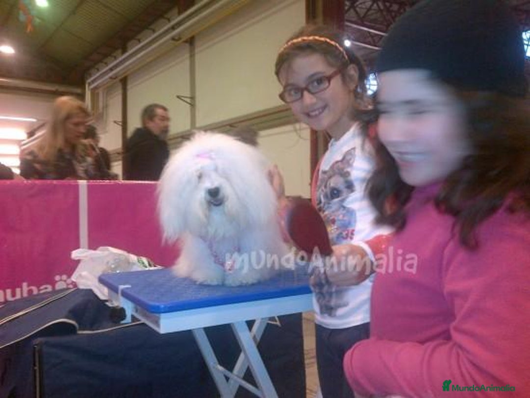 Imagen de galería {{count}}