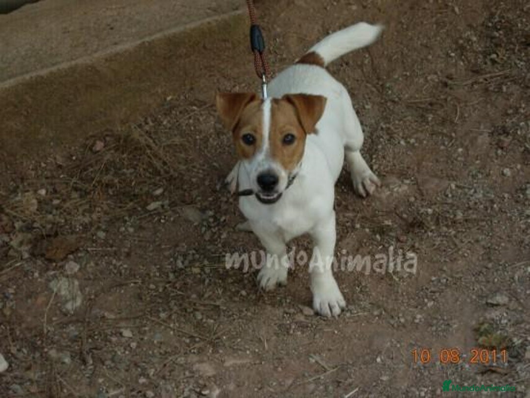 Imagen de galería {{count}}