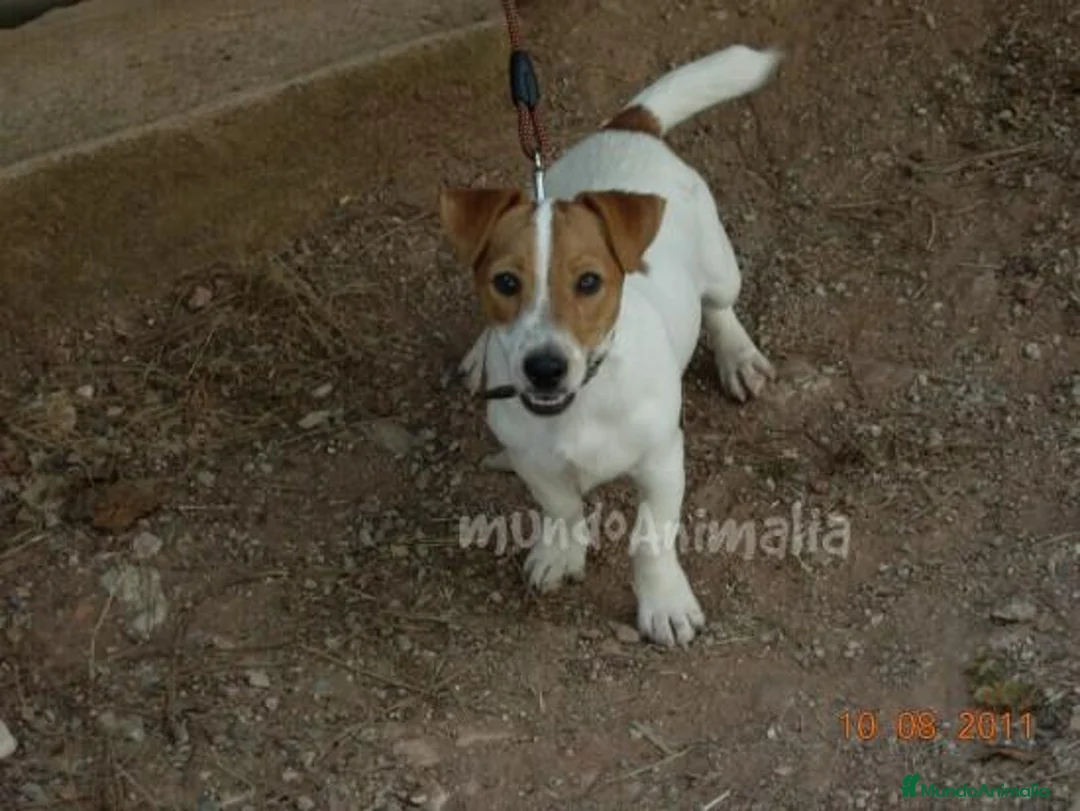 Imagen de galería {{count}}