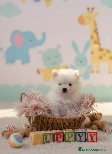 Imagen de galería {{count}}