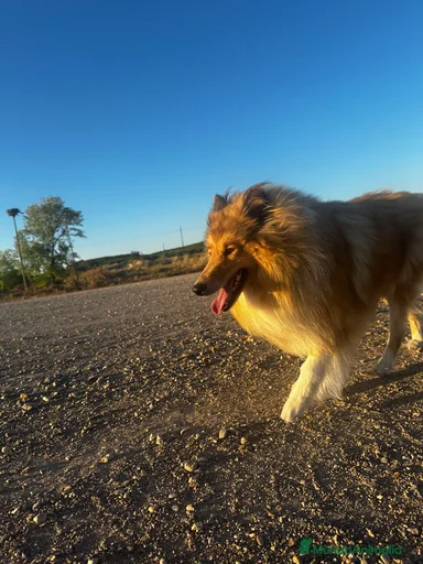 Imagen de galería {{count}}