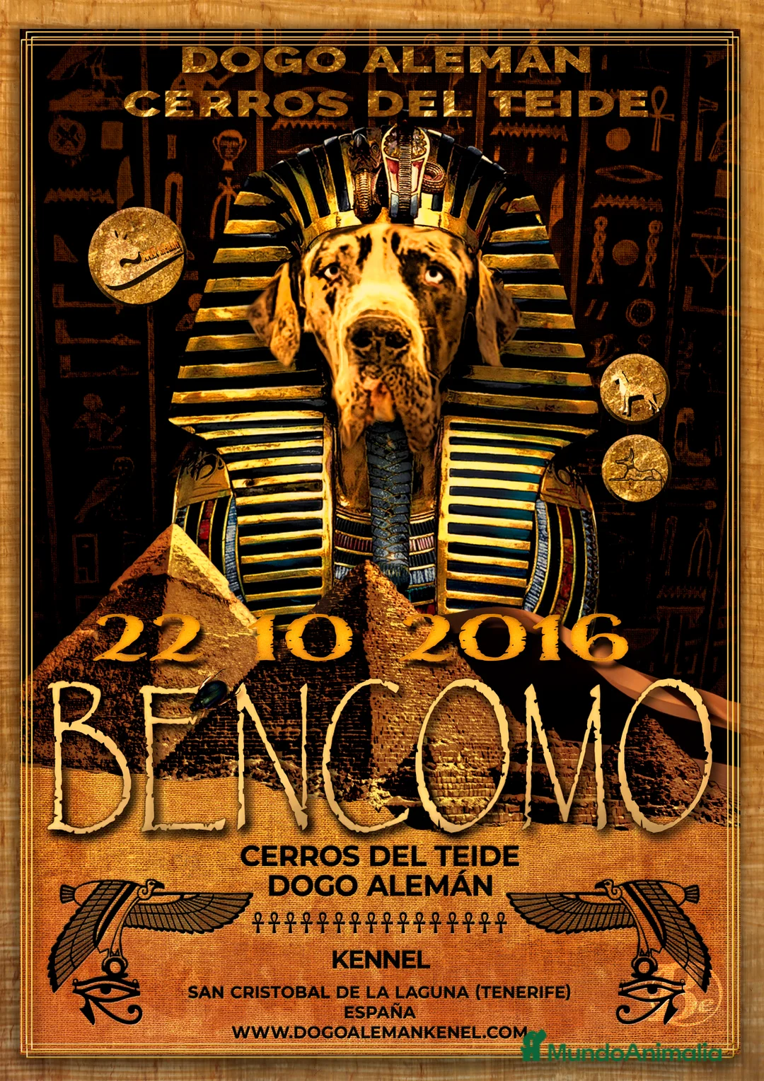 Imagen de galería {{count}}