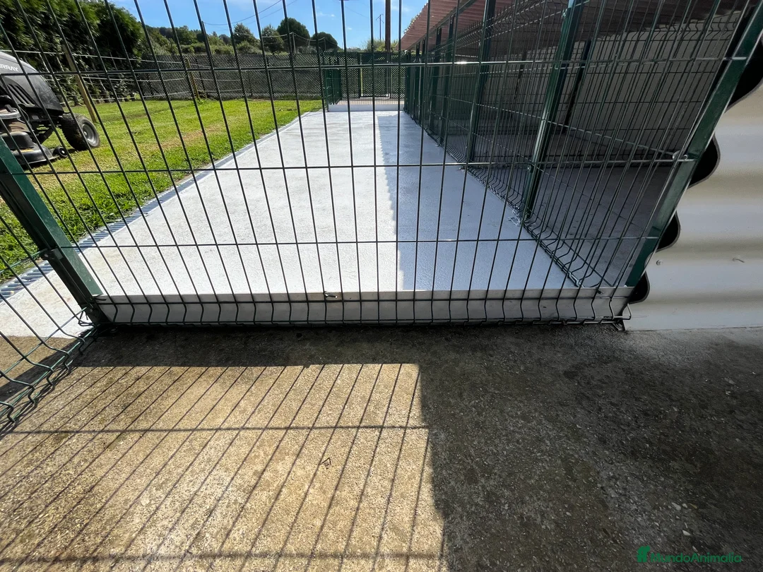 Imagen de galería {{count}}