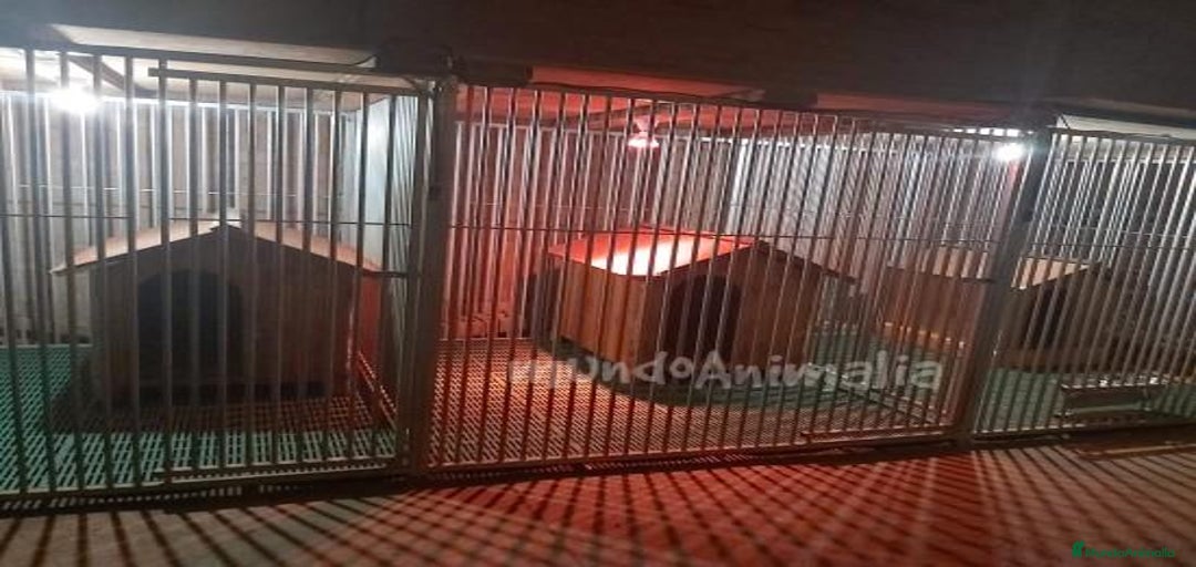 Imagen de galería {{count}}