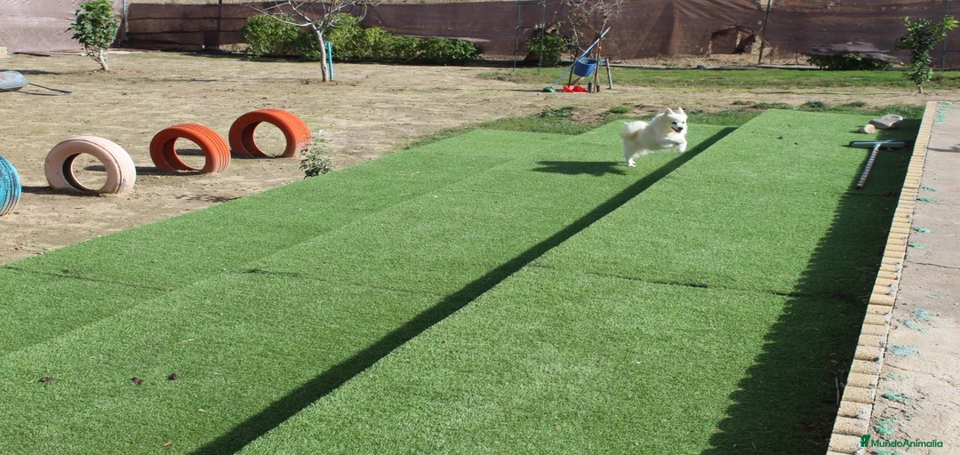 Imagen de galería {{count}}