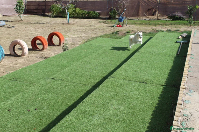 Imagen de galería {{count}}