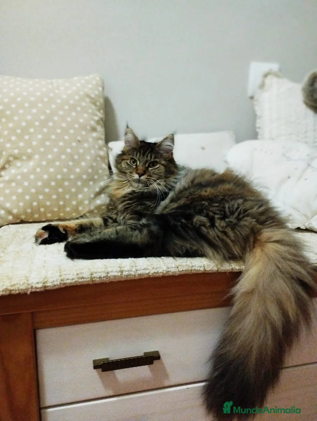 Imagen de galería {{count}}