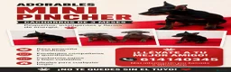 Pinscher Miniatura perros en venta: Mini Pincher  - Anuncio 2