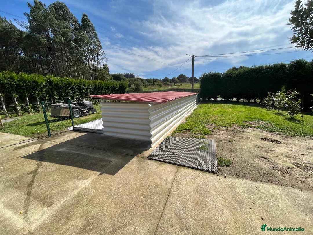 Imagen de galería {{count}}