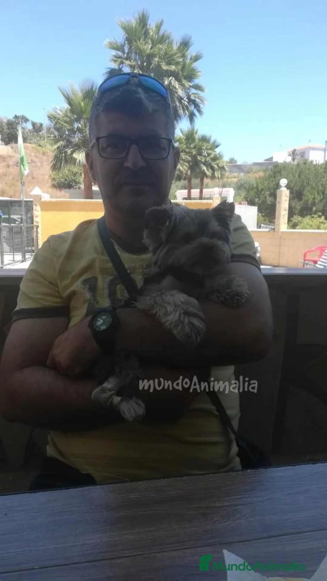 Imagen de galería {{count}}