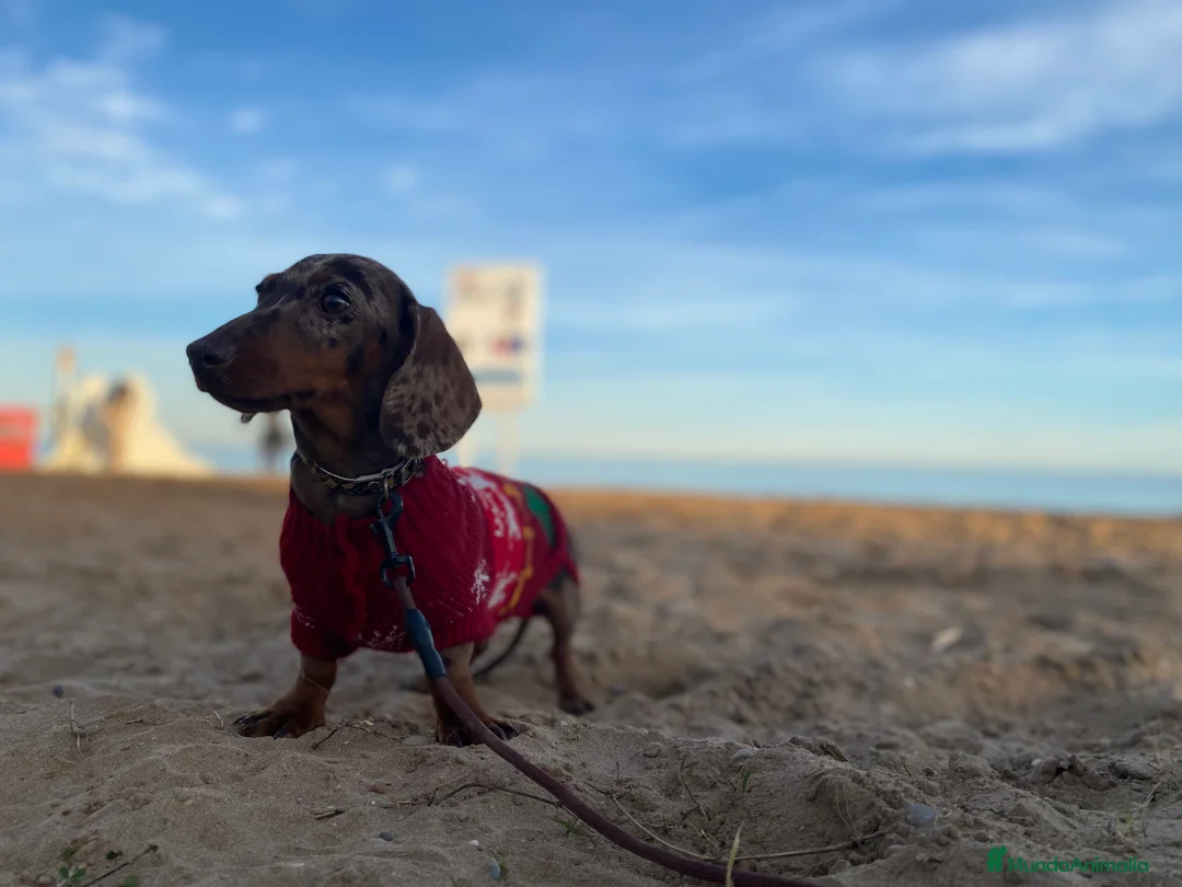 Imagen de galería {{count}}