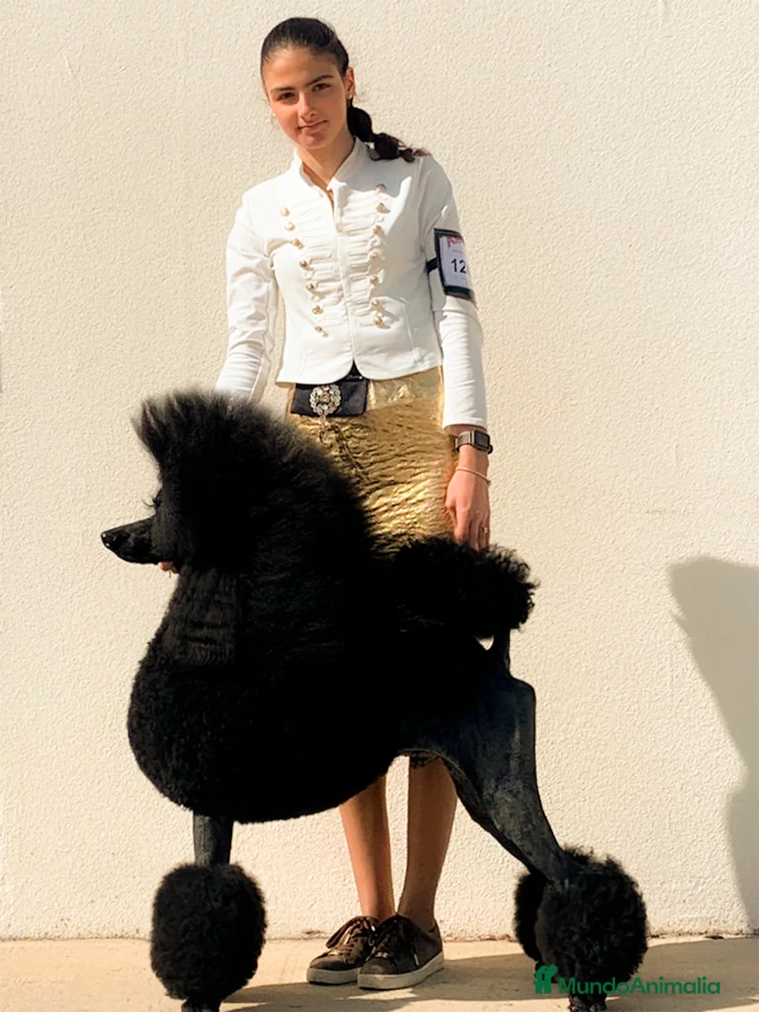 Imagen de galería {{count}}