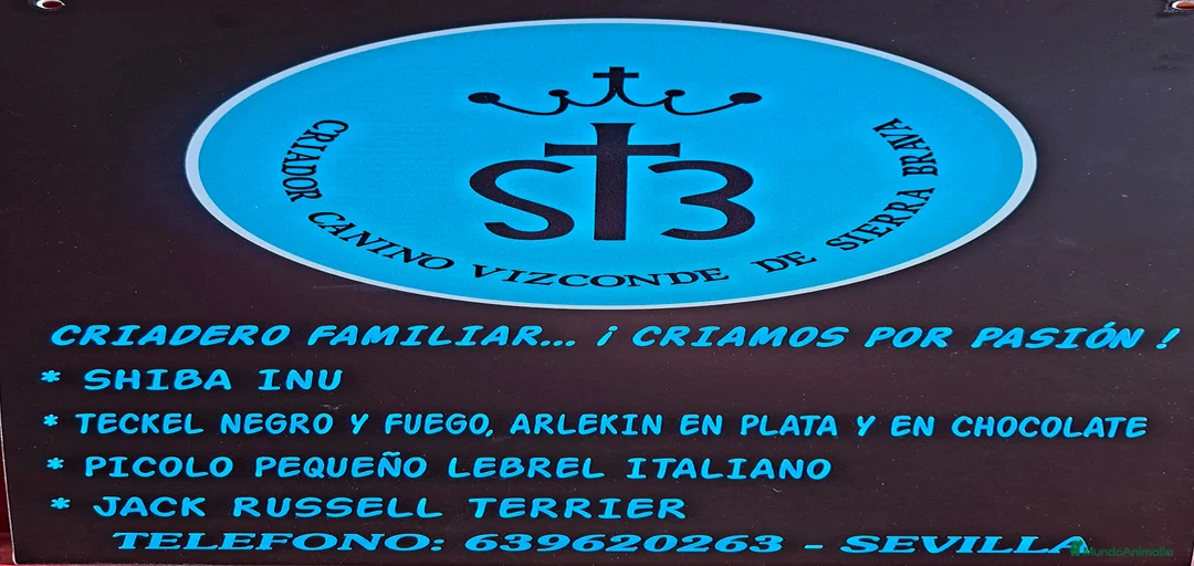 Imagen de galería {{count}}