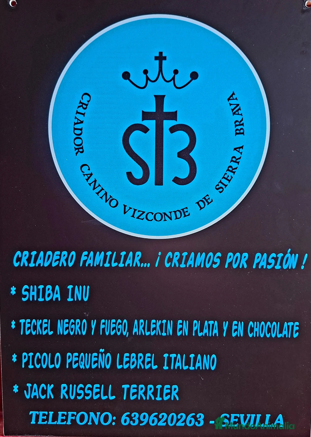 Imagen de galería {{count}}