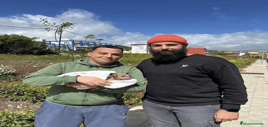 Imagen de galería {{count}}