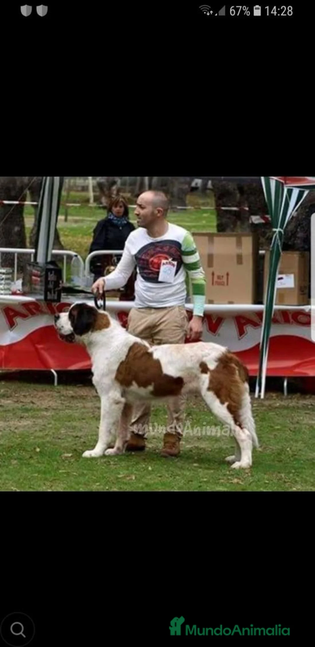 Imagen de galería {{count}}