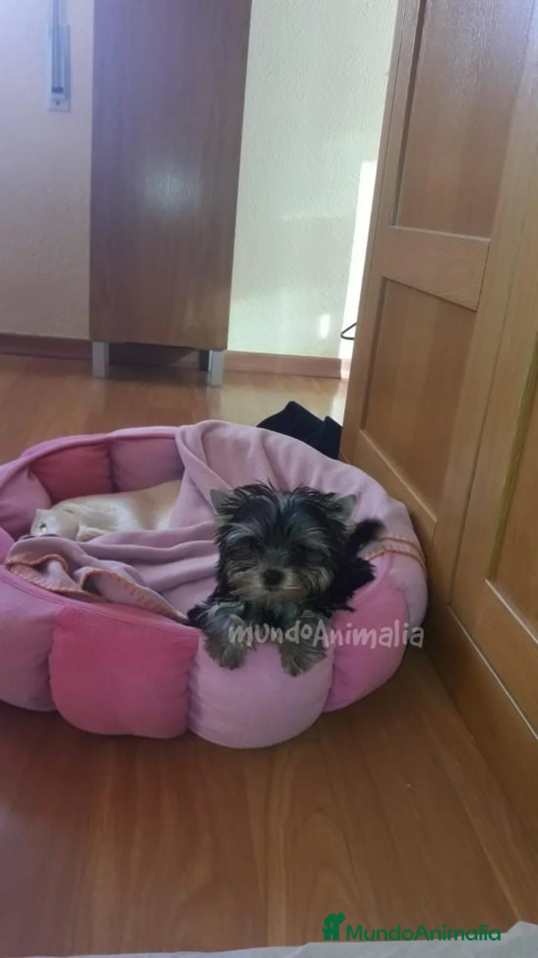 Imagen de galería {{count}}