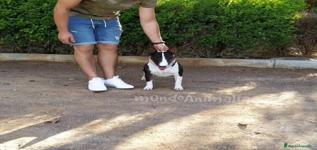 Imagen de galería {{count}}