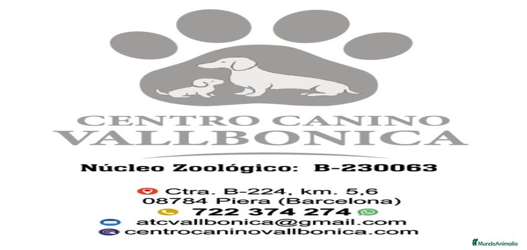 Imagen de galería {{count}}