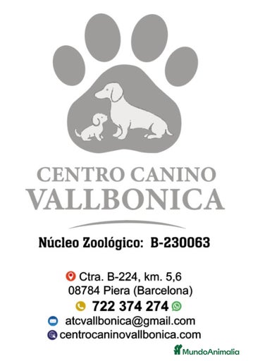 Imagen de galería {{count}}