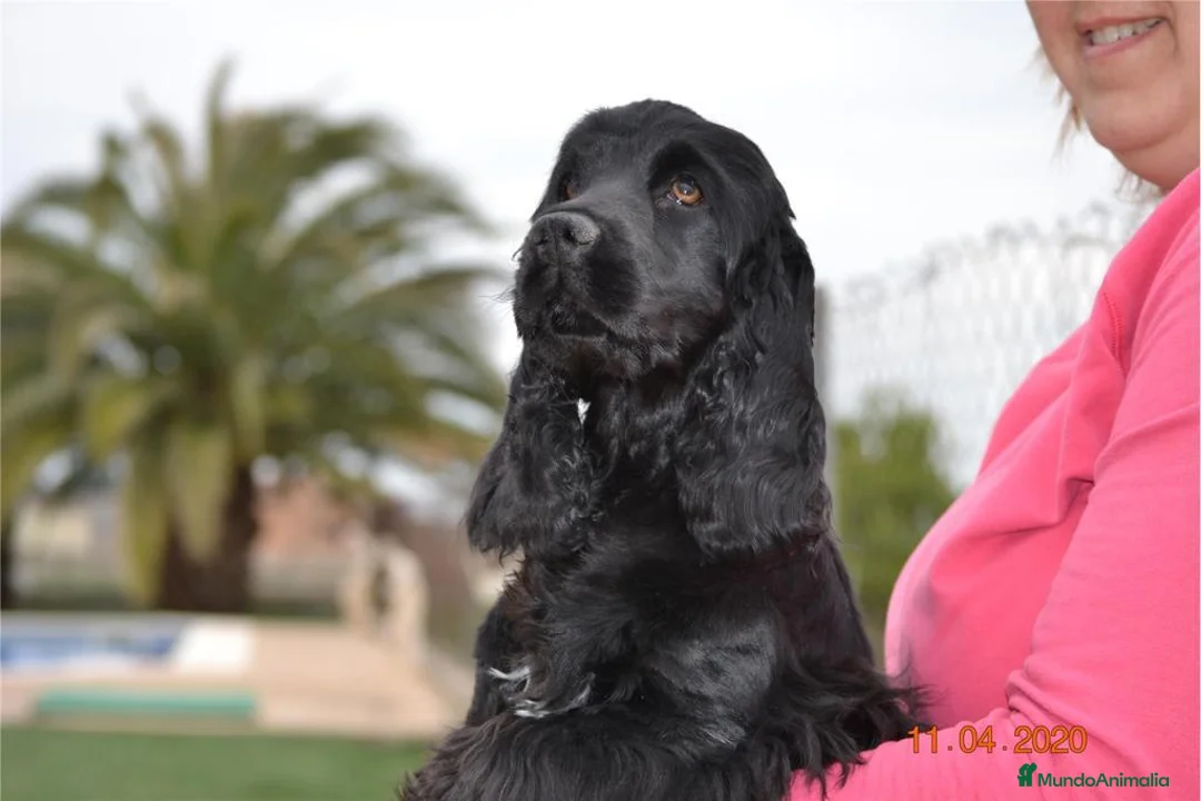 Imagen de galería {{count}}