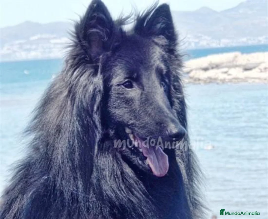 Imagen de galería {{count}}