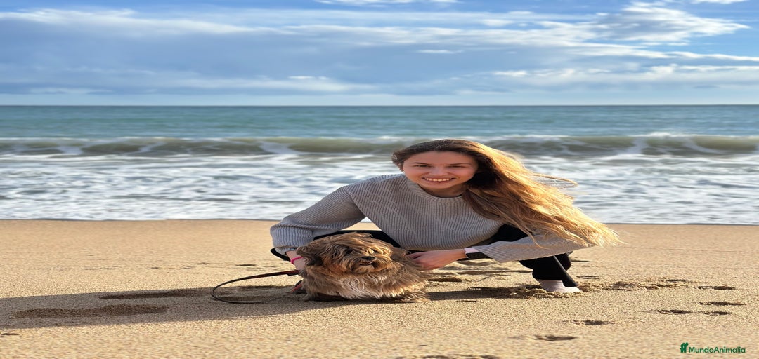 Imagen de galería {{count}}