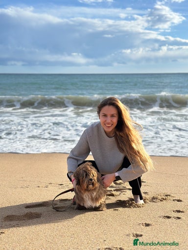 Imagen de galería {{count}}