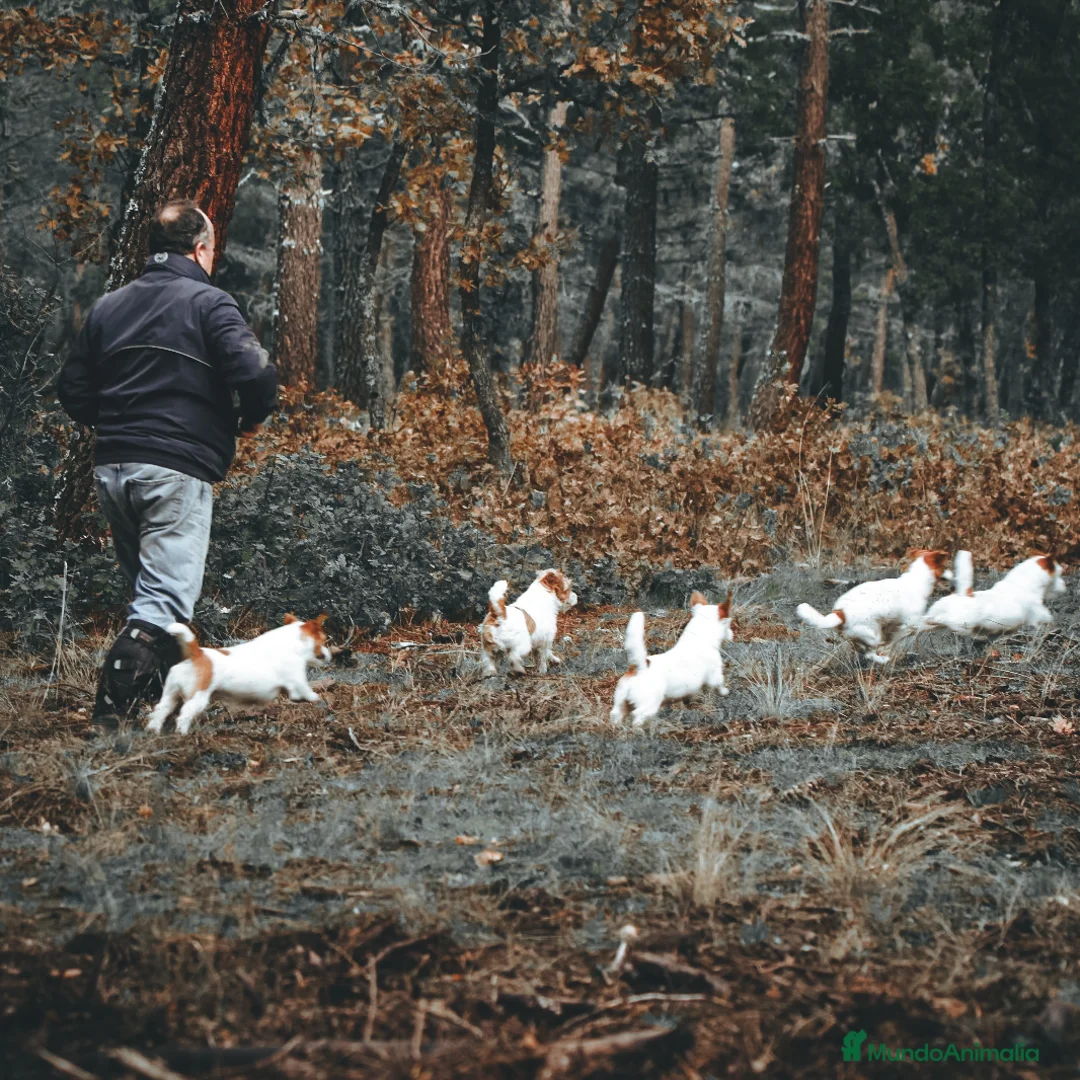 Imagen de galería {{count}}